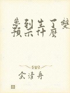 梦到生了双胞胎预示什么