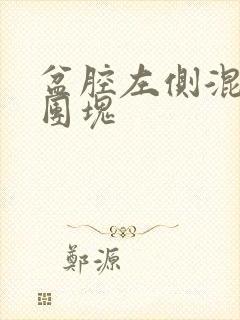 盆腔左侧混合性团块