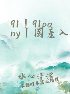 91丨91pony丨国产入口