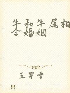 牛和牛属相合不合婚姻