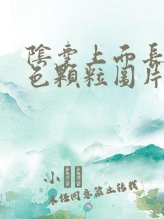 阴囊上面长了白色颗粒图片