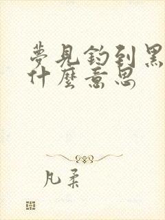 梦见钓到黑鱼是什么意思