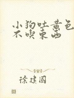 小狗吐黄色粘液不吃东西