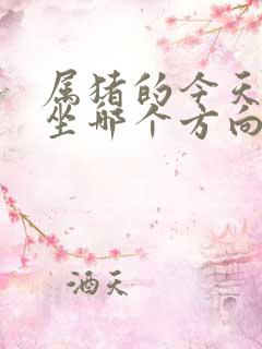 属猪的今天打牌坐哪个方向