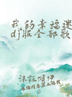 我的幸福迷了路dj版全部歌词