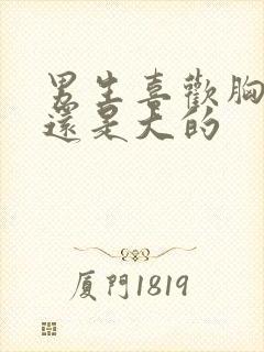 男生喜欢胸小的还是大的