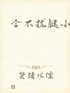 合不拢腿小说
