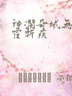 神澜奇域无双珠霍斩疾