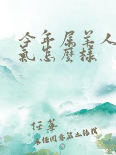 今年属羊人的运气怎么样