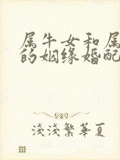 属牛女和属蛇男的姻缘婚配
