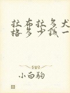 拉布拉多犬的价格多少钱一只幼犬