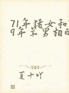 71年猪女和79年羊男相配吗