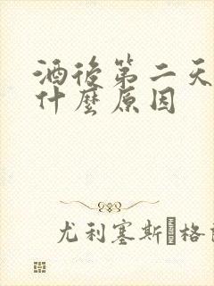 酒后第二天吐是什么原因