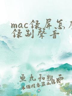 mac录屏怎么录制声音