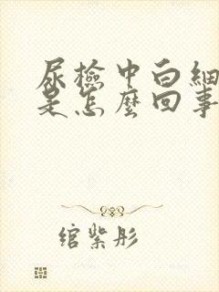 尿检中白细胞高是怎么回事