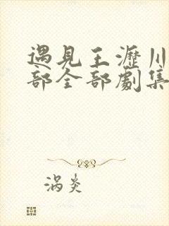 遇见王沥川第二部全部剧集