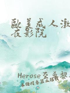 欧美成人激情午夜影院