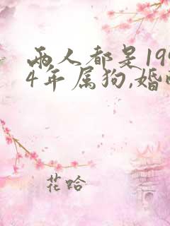 两人都是1994年属狗,婚配好吗?