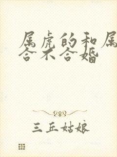 属虎的和属猪的合不合婚