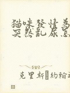 猫咪发情为什么突然乱尿怎么解决