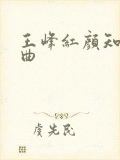 王峰红颜知己歌曲