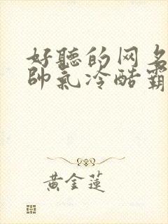 好听的网名男生帅气冷酷霸气