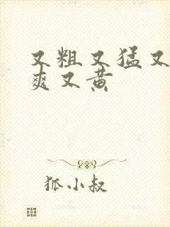 又粗又猛又大又爽又黄