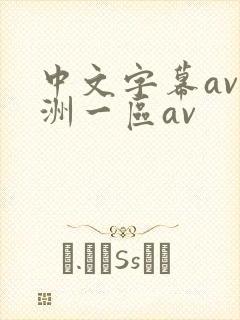 中文字幕av亚洲一区av