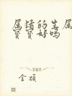 属猪的生属马的宝宝好吗