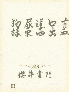 狗尿道口有脓一样东西出血