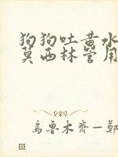 狗狗吐黄水吃阿莫西林管用吗