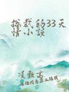 总裁的33天索情小说