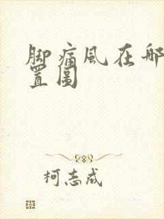 脚痛风在哪个位置图