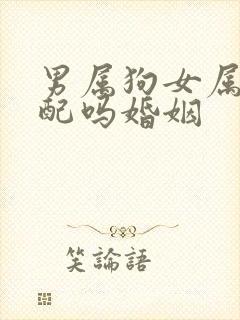 男属狗女属虎相配吗婚姻