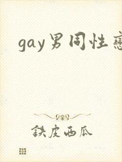 gay男同性恋