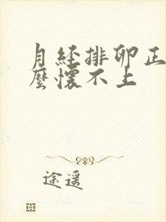 月经排卵正常怎么怀不上