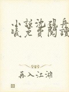 小说沈砚舟宁若曦免费阅读