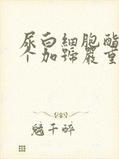 尿白细胞酯酶2个加号严重吗