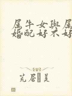 属牛女与属牛男婚配好不好