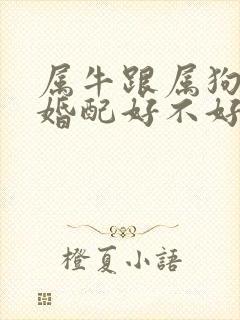 属牛跟属狗的人婚配好不好