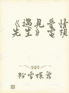 《遇见爱情的利先生》电视剧