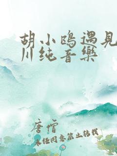 胡小鸥遇见王沥川纯音乐