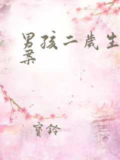 男孩二岁生日文案