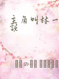 主角叫林一的小说