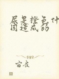 尿是橙色什么原因造成的