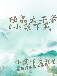 极品太子爷txt小说下载