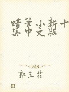 蜡笔小新十季全集中文版