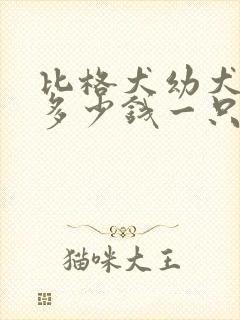 比格犬幼犬价格多少钱一只