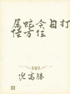 属蛇今日打牌最佳方位