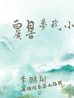 白日梦我小说无广告
